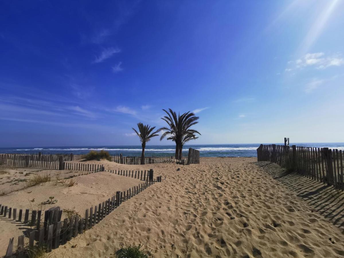 Soleil Levant 2 - En Bord De Mer - Superbe Appartement Cosy - Acces Direct Plage - Proche Commerces Et Animations Le Barcarès Kültér fotó